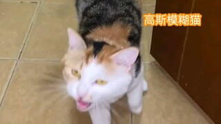 小三百不记仇，我却过不去这个坎