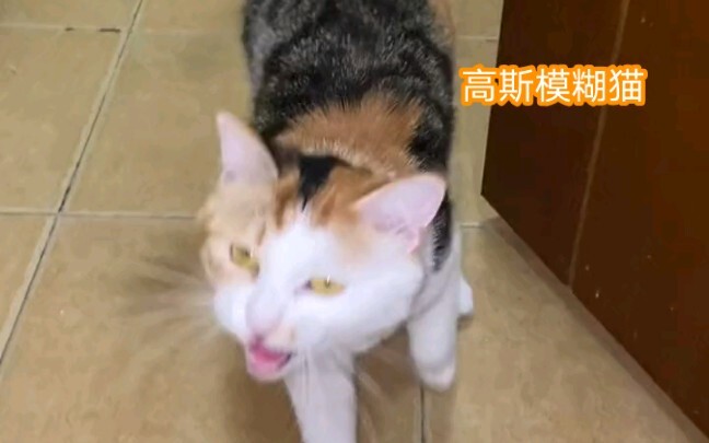 Tiểu Tam Bách không chấp nhặt, nhưng tôi thì lại không thể vượt qua được ngưỡng này.