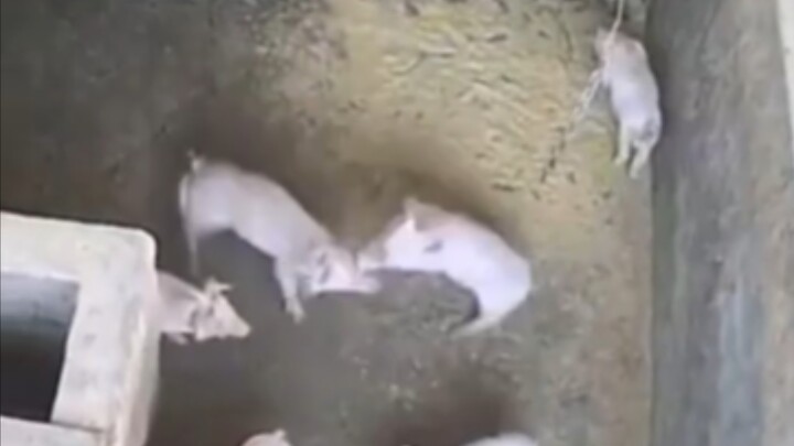 لماذا تتشاجران؟