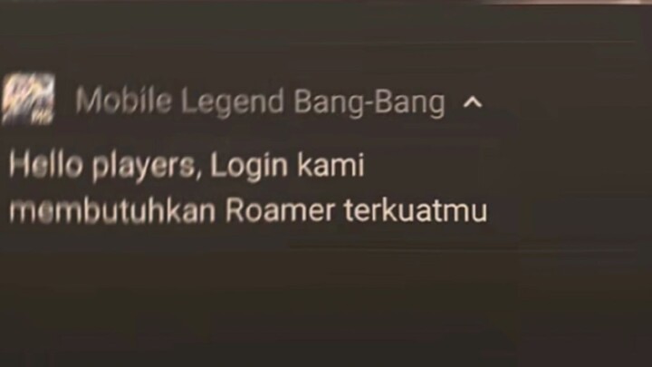 Roam pro player 👍