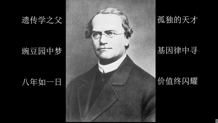 Dù cả thế giới bỏ rơi tôi, vẫn không thể che lấp ánh hào quang của tôi!