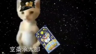 jojo的奇妙冒险星辰斗士主角团介绍