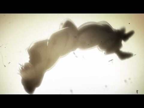 Attack on Titan [AMV] Lovely