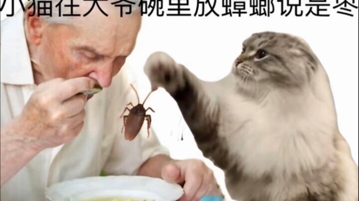 [Bài hát của chú mèo con đã làm mọi điều xấu] Chú mèo con đã đưa quả bom hạt nhân cho người Nhật và 