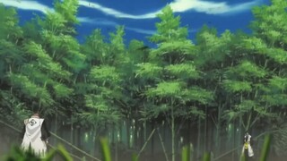 Bleach AMV Komamura vs. Soifon(Regai)