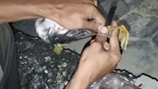 memburu, memasak dan memakan burung uwak-uwak