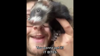 เดือนธันวาคือเดือนสุดท้ายของปี แต่เธอคนดีคือคนสุดท้ายของใจ