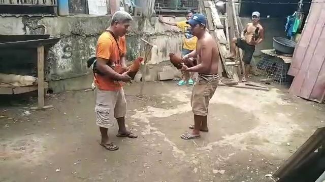 laki nang kalaban buti panalo pa