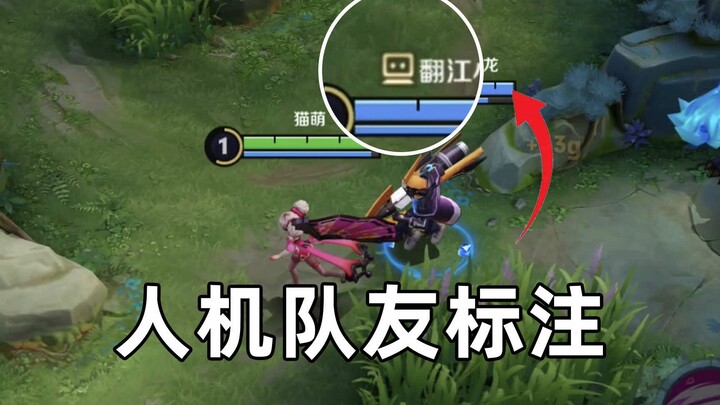 10 ปีแล้ว ในที่สุดก็เห็นได้เสียทีว่าใครนั่งเฝ้าจอ! อัปเดตฟีเจอร์ใหม่สำหรับซีซั่น S43 ของเกม Honor of