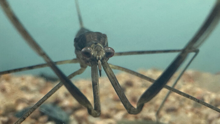 ตื่นแล้วเหรอ? OvO