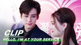 Dong Dong En and the Louzong  Joined Hands | Hello, I'm At Your Service EP05 | 金牌客服董董恩 | iQIYI