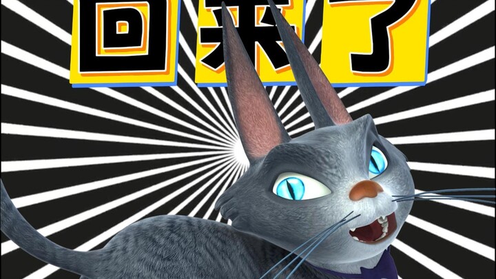 Your handsome cat Feibo is back!!!