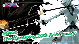 [Bleach] What Shall A Man Who Has a Sharp Blade Draw It For? - To Remember Its 20th Anniversary