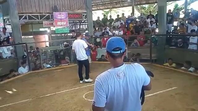win po tayo mga Lodi