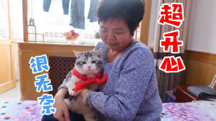 พอคุณพาแมวกลับบ้านปุ๊บ… ก็เตรียมตัวโดนพ่อแม่เมินได้เลย ราวกับว่าพวกเขาต่างหากที่เป็นครอบครัวเดียวกัน