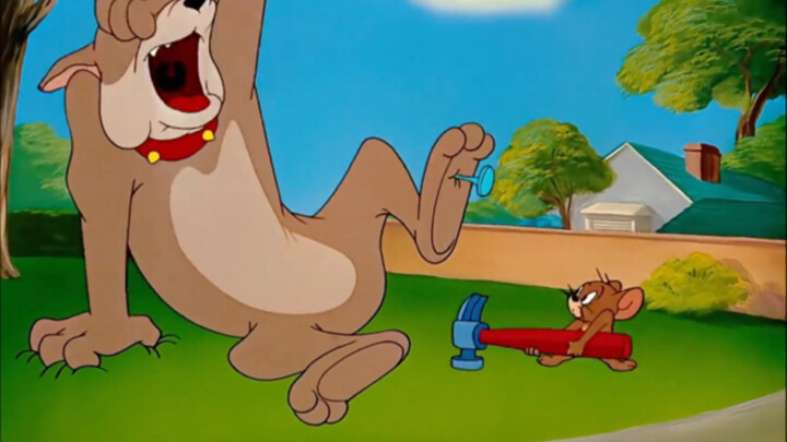 Bro Dog cried after stepping on a nail