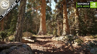 ULTRA REALISTIC Redwood Forest in UNREAL ENGINE 5 | RTX 4090 4K60