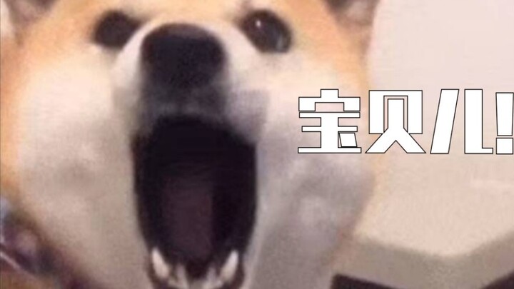 Lâm Phàm gọi Lục Kha Nhiên