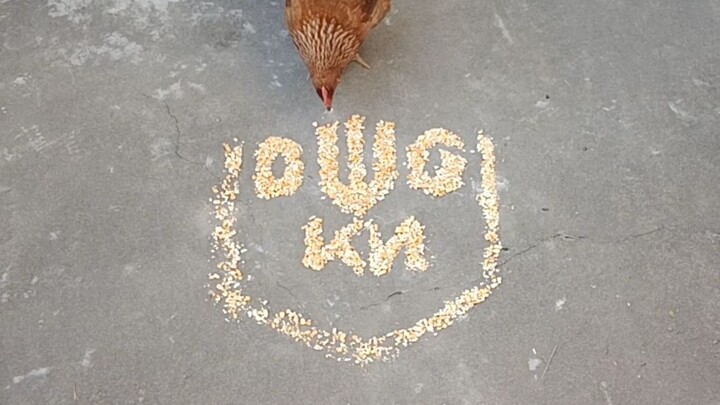 One earth chicken