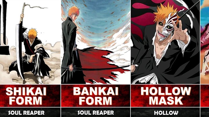 Kurosaki Ichigo All Form