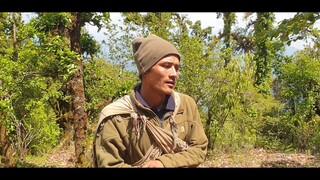 story of a shepherd | nepalese shepherd's life | life with sheep herd |