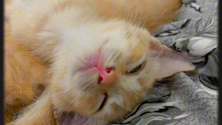 I'm sleeping 😴 💤