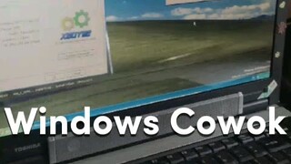 Perbedaan windows cowok vs windows lanang