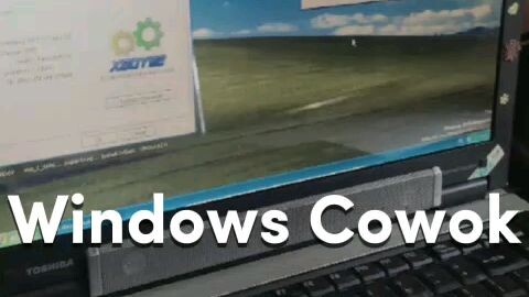 Perbedaan windows cowok vs windows lanang