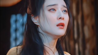 山茶花开到荼靡之美