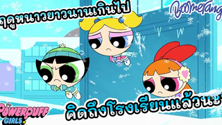 หิมะตกในฤดูใบไม้ผลิ Boomerang Thailand