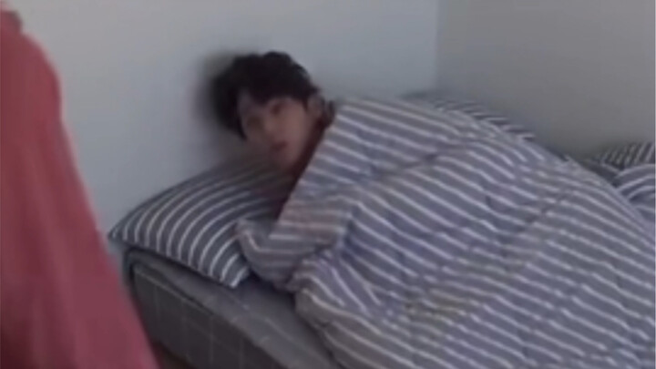 【Kim Min Kyu】Kami hanyalah seekor anjing kecil yang suka tidur~ Pintu Tidur!