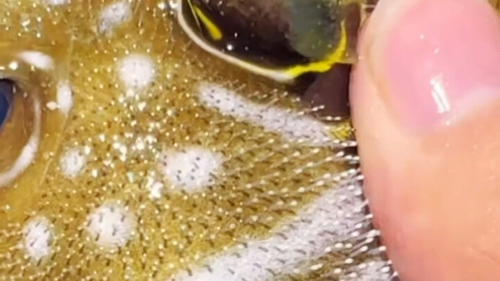 Ah, sudahlah, ini pasti menurutmu nggak seru.