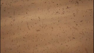 Shrouding The Heavens EPS 93 Sub Indo