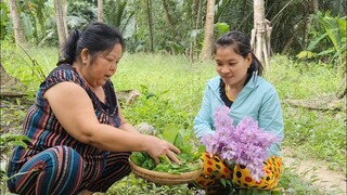 Bông Lục Bình Đầu Mùa Chấm Cá Ngát Kho Lạc Ngon Hết Chỗ Chê | TKQ & Family T854