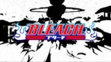 Bleach (Eng Dub) Episode 290