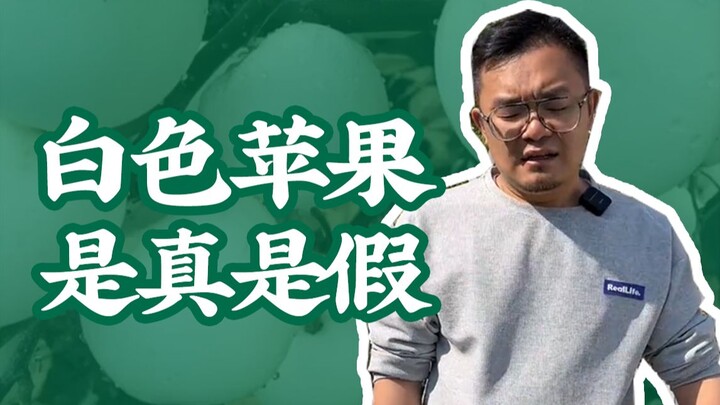 Brother Xi has seen all sorts of weird apples, but this is truly the first time he’s laid eyes on a 