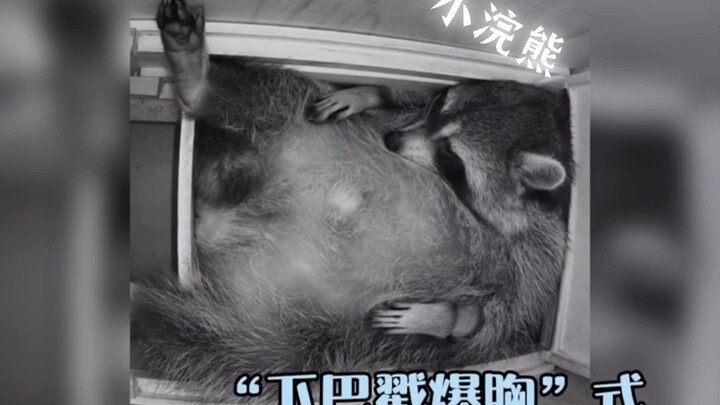 All sorts of bizarre sleeping positions—how’s your spine holding up, buddy?