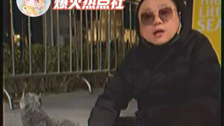 Puppy: What are you doing! gq "Funny" "Puppy" "Dog Walking" "Funny"