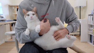 遇见玛露：完美冒险开始！🐾😺 在有史以来的第一部玛露编年史中释放可爱！