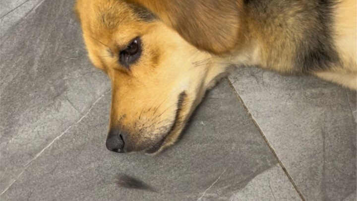 It can even hold its breath to play with me!