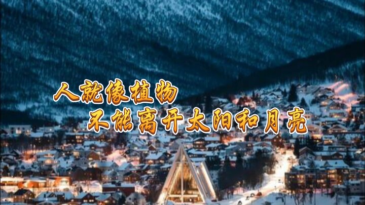 People are like plants—they can’t live without the sun and the moon.