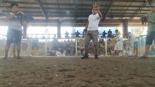 Win at RCC, patay din manok namin.. WWDW