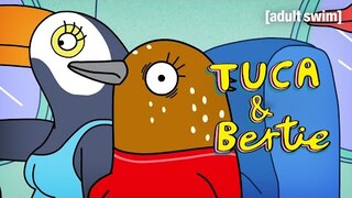 Bad News for Bertie | Tuca & Bertie | adult swim