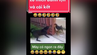 chócute chómèohàihước giảitrí  Lu thần thánh quá🤣🤣🤣😅😅
