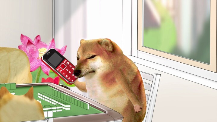 你许的愿望我能得双倍