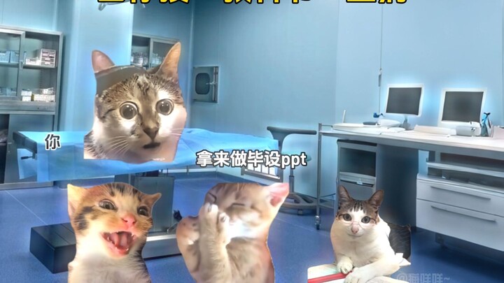 当你按照教科书生病