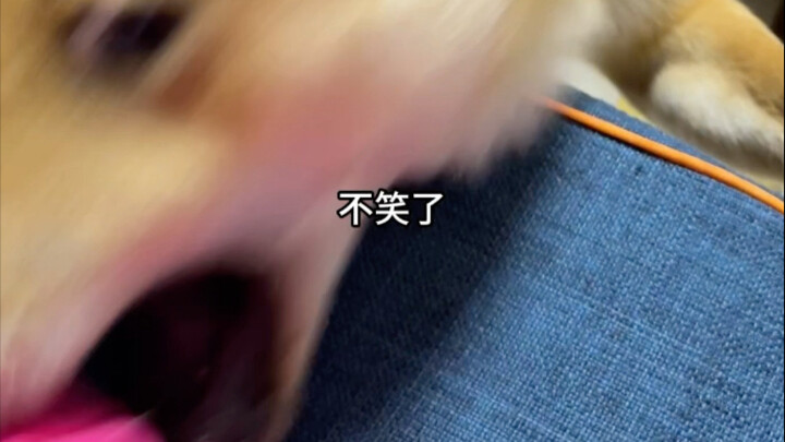 Getting Used to Heartbreak