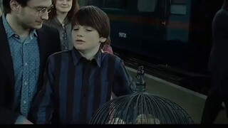 【Harry Potter Birthday/Cat Meme】"Growing Pains"
