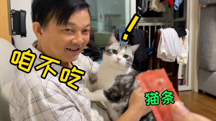 Gila banget! Baru beberapa hari diurus sama tuannya, kucing ini sudah jadi penggemar setia! Sampai i