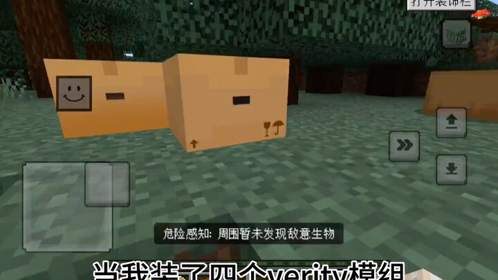 เมื่อฉันติดตั้งโมด Verity ถึงสี่ตัว